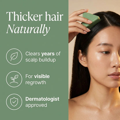 Shampoing Solide Aux Feuilles De Cyprès