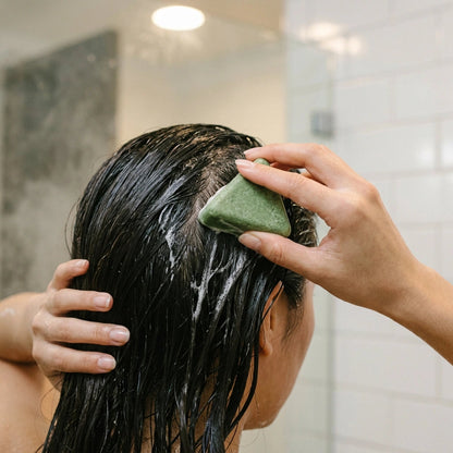 Shampoing Solide Aux Feuilles De Cyprès