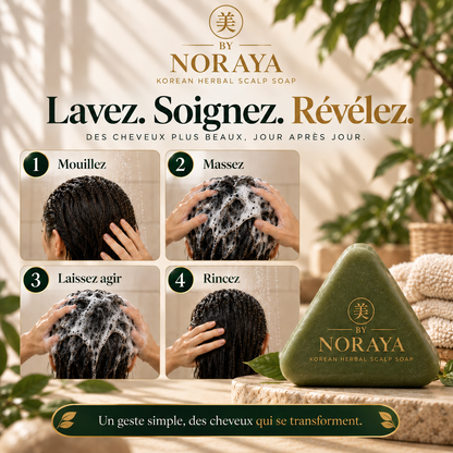 Shampoing Solide Coréen Aux Plantes - Volume & Cuir Chevelu - By Noraya